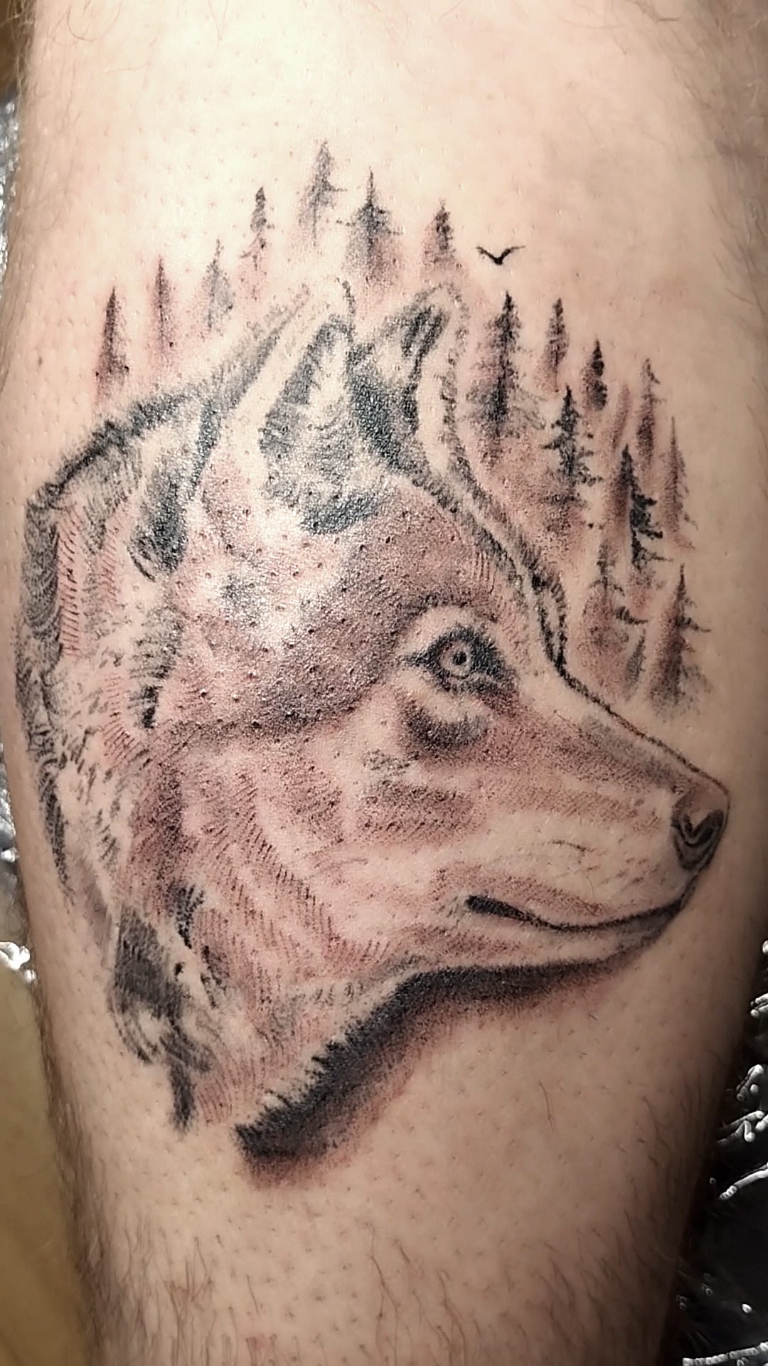 tatouage loup realiste annecy